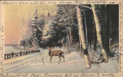 Deer in Snowy Forest, Winter Scene Postcard