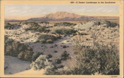 Desert Landscape in the Southwest Postcard