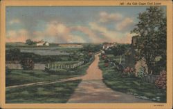 An Old Cape Cod Lane, Yarmouthport, MA Postcard