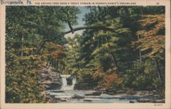 The Arched Tree Over a Trout Stream, Pennsylvania's Dreamland Postcard