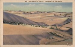 "The American Sahara", Sand Dunes on the Desert Postcard