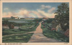 An Old Cape Cod Lane Postcard