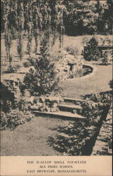 The Scallop Shell Fountain, Sea Pines School Postcard