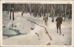 Franconia Notch, Near The Basin, White Mts. Postcard