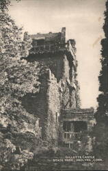 Gillette Castle, State Park, Hadlyme, CT Postcard