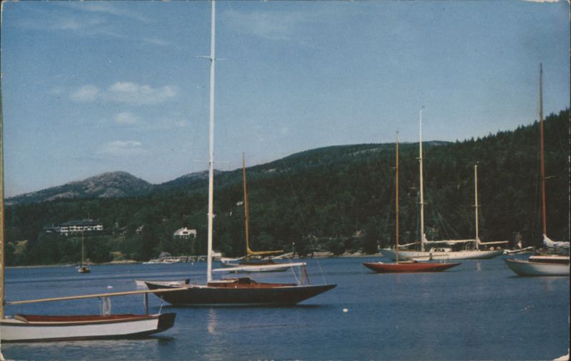 Sailboats in Northeast Harbor, Mt. Desert Island Maine