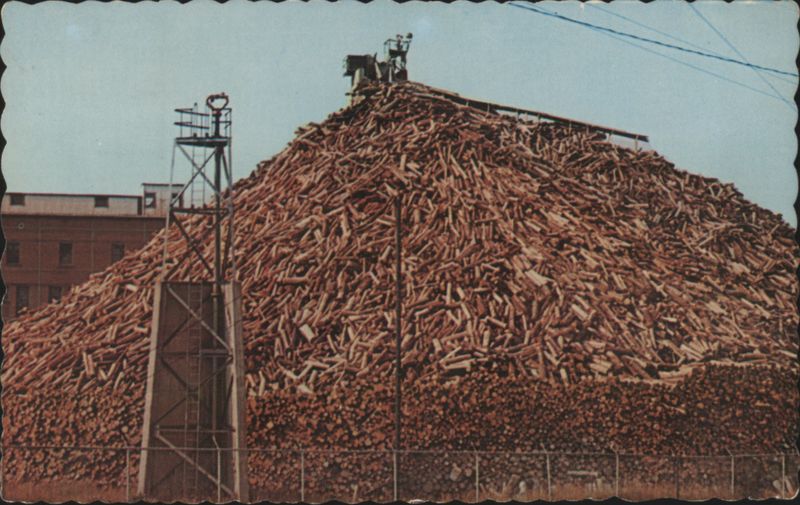 Maine Woodpile, Pulpwood for Paper Industry Stanley Stevens