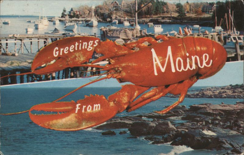 Greetings From Maine Lobster, Harbor Scene