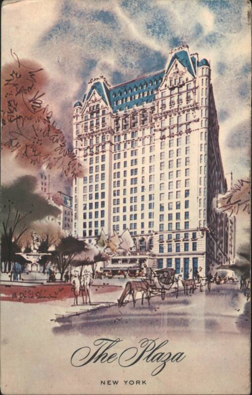 The Plaza Hotel, New York W. D. S. Co.
