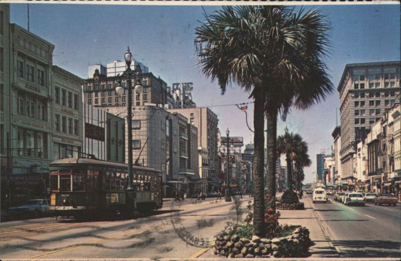 Canal Street with Streetcar and Palm Trees New Orleans Louisiana