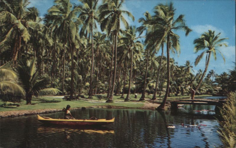 Tranquil Coco Palms Lagoon, Kauai Hawaii