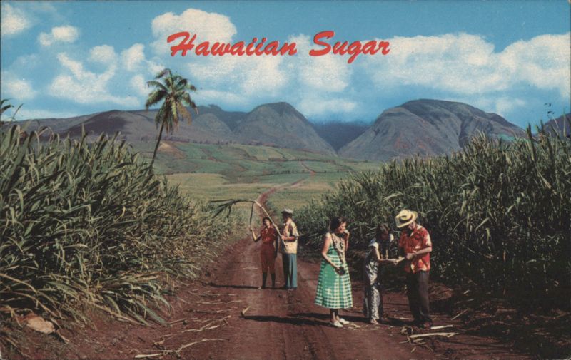 Hawaiian Sugar Fields Billy Howell