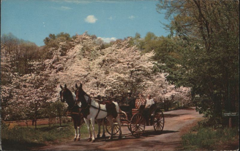 The Homestead, Hot Springs, Virginia: Horse-Drawn Carriage