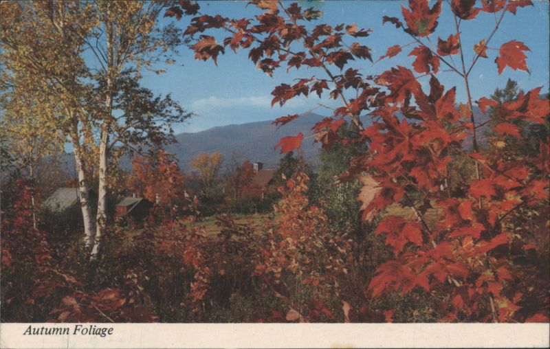 Autumn Foliage, White Mountains, New Hampshire Winston Pote