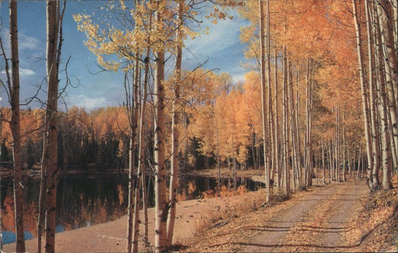 Autumn Forest Path, Lake, 'neath cool Shadows Hidden