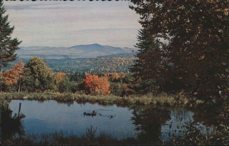 Glorious Fall Landscape with Pond and Ducks Hastings
