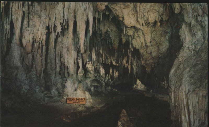 Carlsbad Caverns King's Palace, 829 Feet Below Surface New Mexico