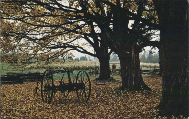 Yellow Carpet Fall in Vermont George Cahoon, Jr.