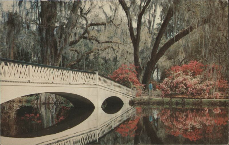 Magnolia Gardens Bridge & Azaleas, Charleston, SC South Carolina