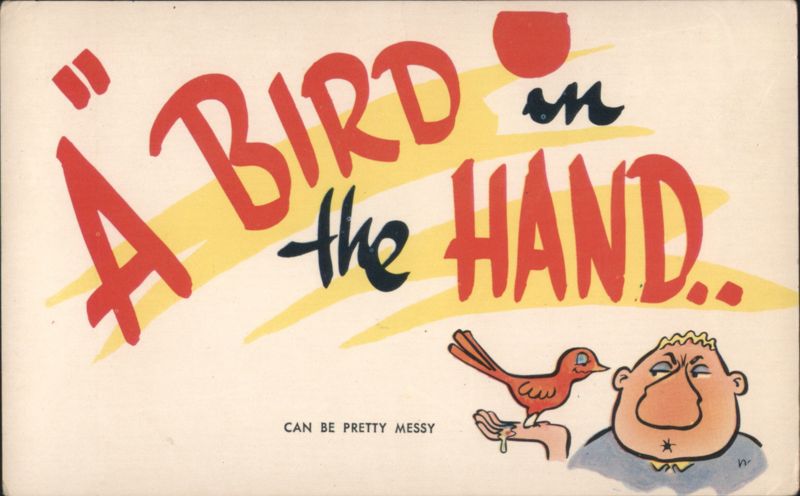 A Bird in the Hand Can Be Pretty Messy Humorous Comic, Funny