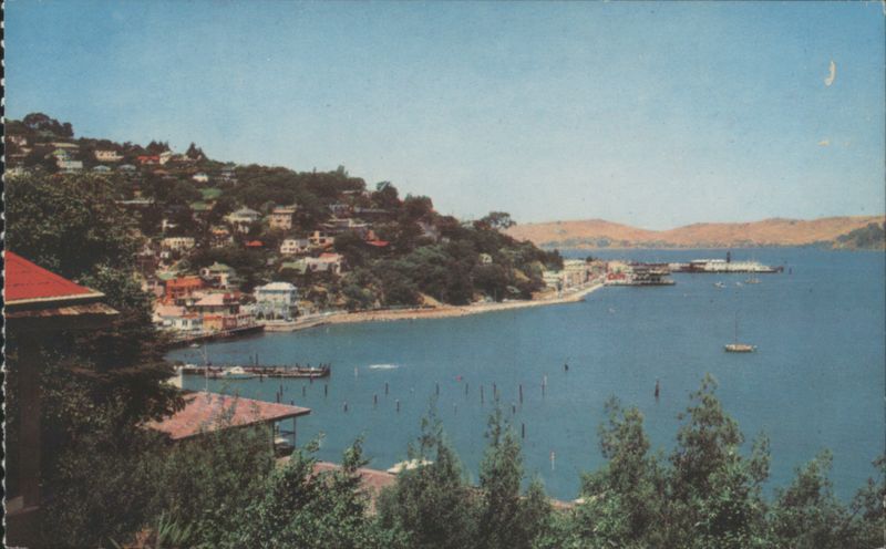Sausalito, California Town & Bay View from Hills