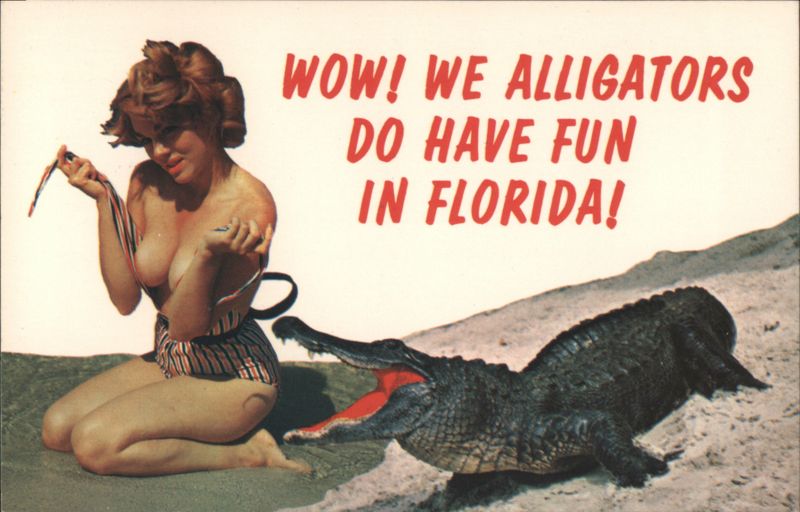 WOW! WE ALLIGATORS DO HAVE FUN IN FLORIDA! Comic, Funny
