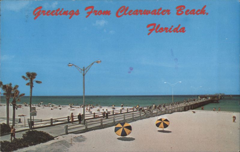 Greetings From Clearwater Beach Florida Sparky Schumacher