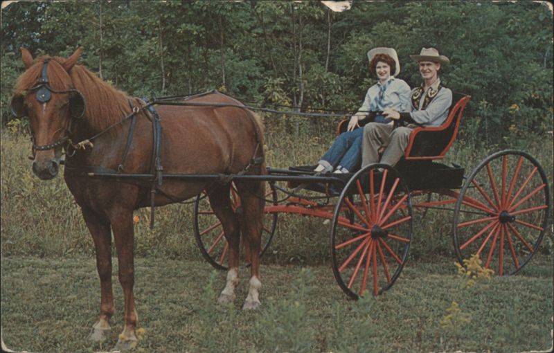 Horse and Buggy Days, Drakes, Southeastern Ohio