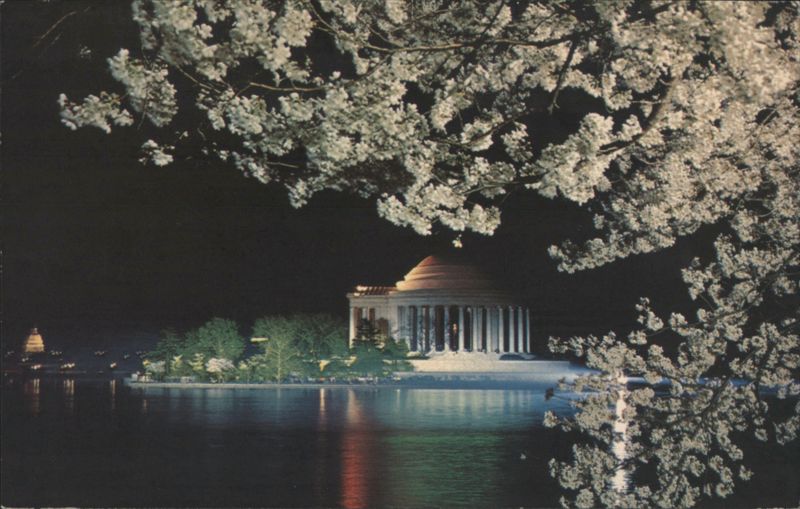 Jefferson Memorial at Night, Cherry Trees in Bloom Washington District of Columbia