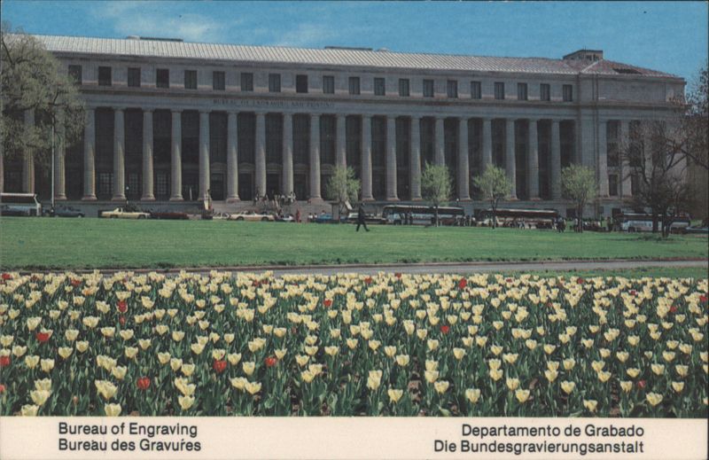 Bureau of Engraving and Printing with Tulips, Washington D.C. District of Columbia