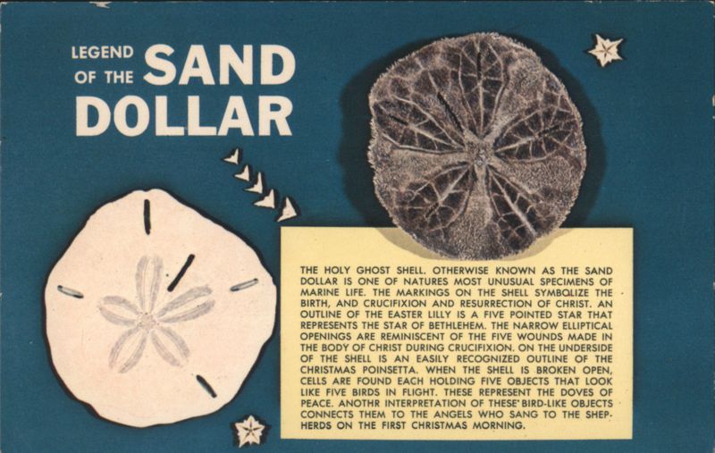 Legend of the Sand Dollar Seashells