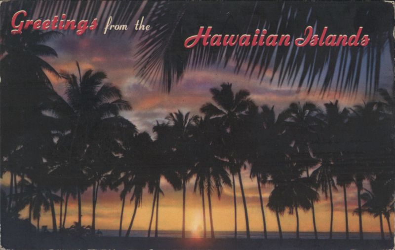 Greetings from the Hawaiian Islands, Palm Trees Sunset