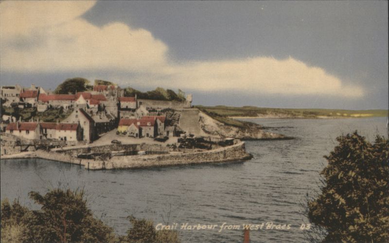 Crail Harbour from West Braes United Kingdom
