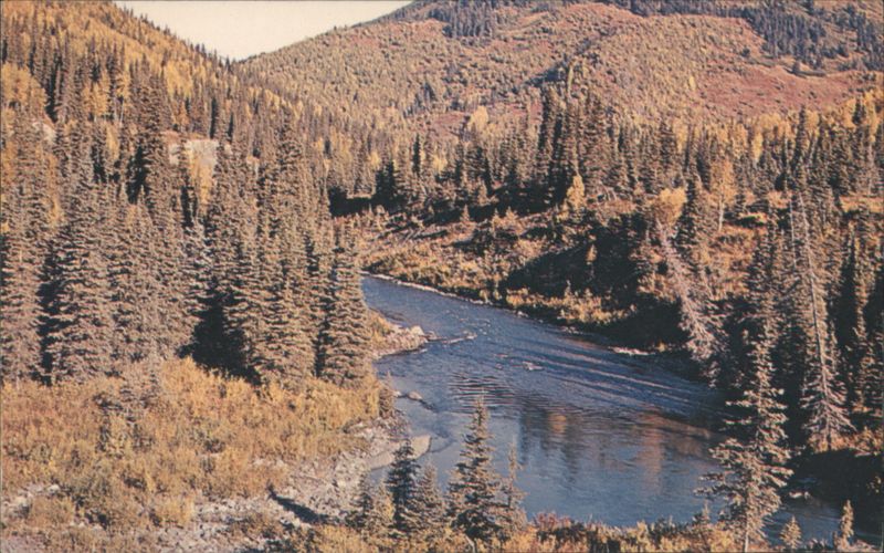 Scenic Alaska Fishing Stream and Beautiful Fall Colors
