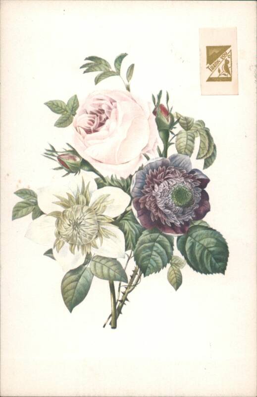 Anemone, Rose, Clematis Botanical Illustration Pierre-Joseph Redouté