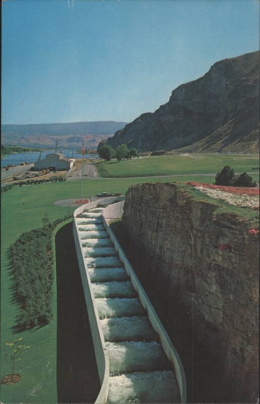 Fish Ladder - Rocky Reach Dam Clifford B. Ellis