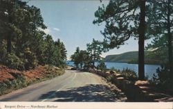 Sargent Drive, Somes Sound, Northeast Harbor, ME Postcard