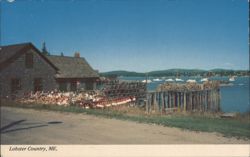 Lobster Country, Mt. Desert Island Postcard