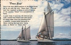 Down East Windjammers off the Maine coast Postcard
