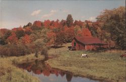 New England Farm Lands in Early Autumn Postcard
