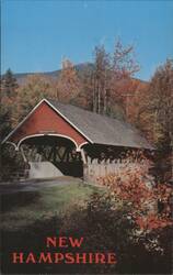 Flume Bridge, Franconia Notch, Autumn Foliage Postcard