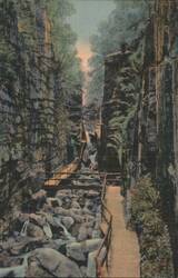 Flume Gorge, Franconia Notch, White Mountains Postcard