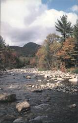Swift River, Kancamagus Wilderness, Autumn Foliage Postcard