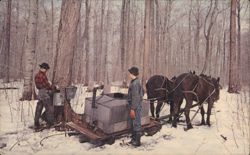 Gathering Maple Sap, Geauga County, Ohio Postcard