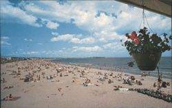 Hampton Beach, NH - Crowded Beach View with Hanging Flowers Postcard