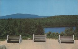 Cathedral of the Pines, Garden of Remembrance Postcard