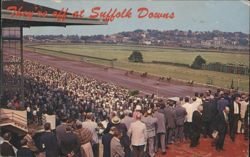 They're off at Suffolk Downs Horse Race Postcard