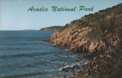 Acadia National Park Coastal Cliffs, Otter Cliffs Postcard