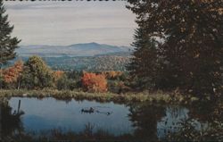 Glorious Fall Landscape with Pond and Ducks Postcard