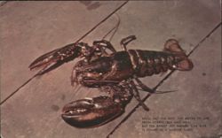 Lobster with Poem: Rarest Joy Nature Can Give Postcard